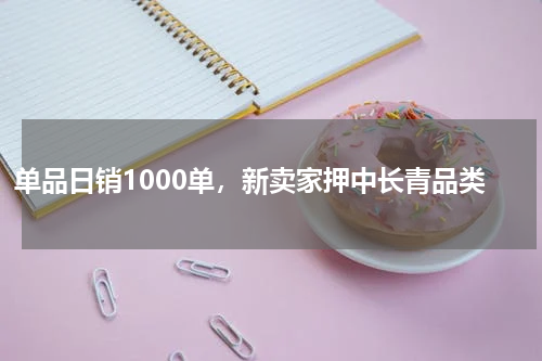 单品日销1000单，新卖家押中长青品类